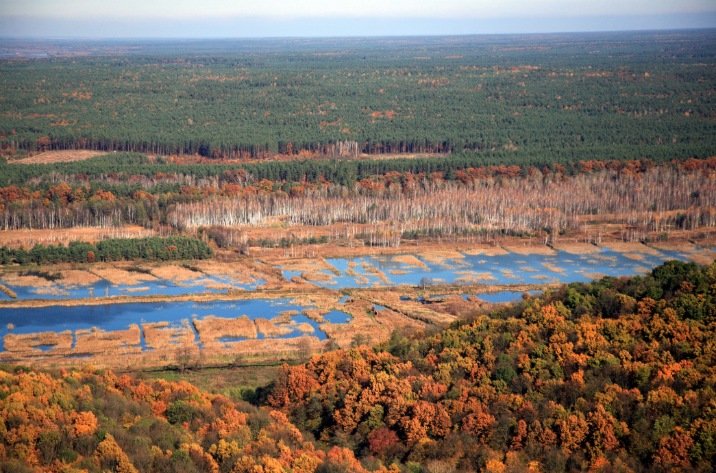 Канюка Лариса Миколаївна